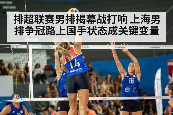 排超联赛男排揭幕战打响 上海男排争冠路上国手状态成关键变量 - KAIYUN SPORTS